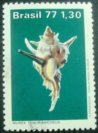 Selo postal do Brasil de 1977 Murex Tenuivaricosus