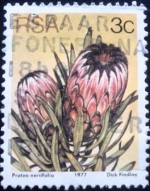 Selo postal da África do Sul de 1979 Protea nerlifolia