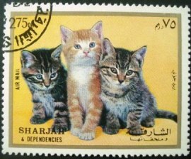Selo postal de Sharjah de 1972 Kitten 75