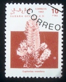 Selo postal Cinderela da RASD Saahara Ocidental de 1992 Euphorbia Resinifera