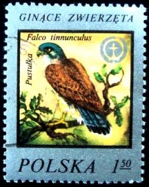Selo postal da Polônia de 1977 Common Kestrel