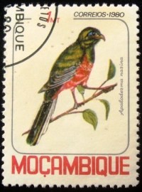 Selo postal de Moçambique de 1980 Narina Trogon