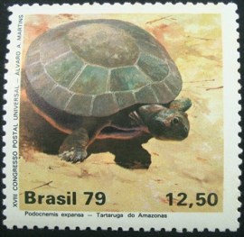 Selo postal do Brasil de 1979 Tartaruga do Amazonas - C 1093 N