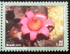 Selo postal do Brasil de 2019 Diversidade dos Fungos 3821