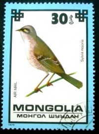 Selo postal da Mongólia de 1979 Barred Warbler