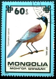 Selo postal da Mongólia de 1979 Azure-winged Magpie