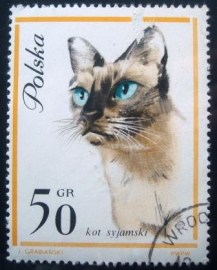 Selo postal da Polônia de 1964 Siamese Cat