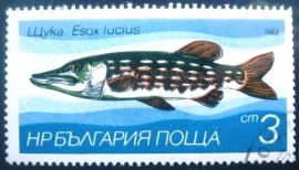 Selo postal da Bulgária de 1983 Northern Pike