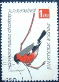 Selo postal da Romênia de 1959 Eurasian Bullfinch