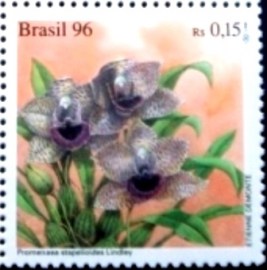 Selo postal do Brasil do Brasil de 1986 Promenaes Stapelioides