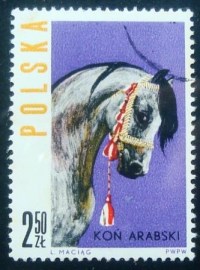 Selo postal da Polônia de 1963 Head of Arab Horse
