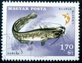 Selo postal da Hungria de 1967 European Catfish