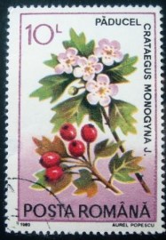 Selo postal da Romênia de 1993 Crataegus monogyna