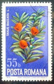 Selo postal da Romênia de 1974 European Yew