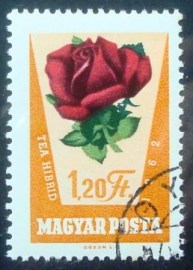Selo postal da Hungria de 1962 Rosa hybr.