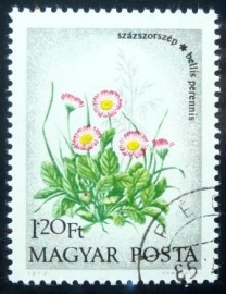 Selo postal da Hungria de 1973 English daisies