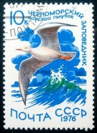Selo postal da União Soviética de 1976 Slender-billed Gull