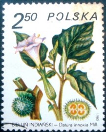 Selo postal da Polônia de 1980 Datura innoxia