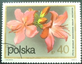 Selo postal da Polônia de 1972 Rhododendron japonicus