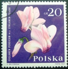 Selo postal da Polônia de 1964 Cyclamen persicum