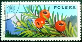 Selo postal da Polônia de 1975 Yew branch with berrie