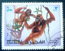 Selo postal de Fujeira de 1972 Orang-Utans