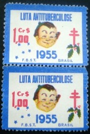 Par de selos CINDERELA do Brasil emitidos em 1955 - FBST