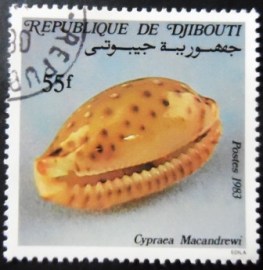 Selo postal de Djibouti de 1983 MacAndrew's Cowry