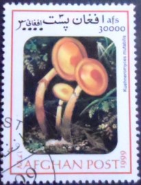 Selo postal do Afeganistão de 1999 Sheathed woodtuft
