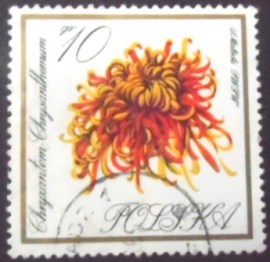 Selo postal da Polônia de 1966 Chrysanthemum