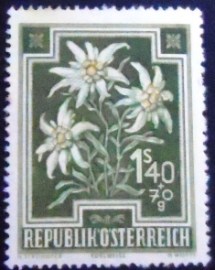 Selo postal da Áustria de 1948 Edelweiss