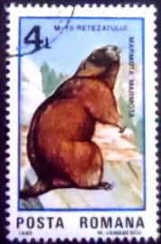 Selo postal da Romênia de 1985 Alpine Marmot