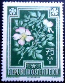 Selo postal da Áustria de 1948 Dog Rose