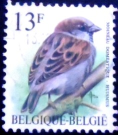 Selo postal da Bélgica de 1994 House Sparrow