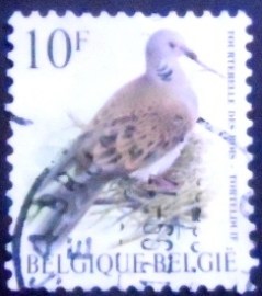 Selo postal da Bélgica de 1998 Turtle Dove