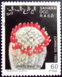 Selo postal Cinderela do Saara Ocidental de 1993 Mammillaria Magallanii