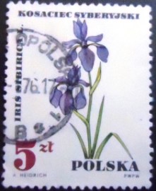Selo postal da Polônia de 1967 Siberian Iris