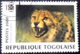 Selo postal do Togo de 2000 Cheetah
