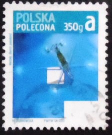 Selo postal da Polônia de 2013 Water Strider