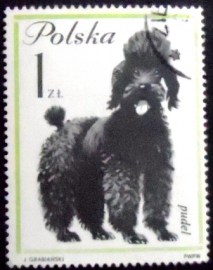Selo postal da Polônia de 1963 French Poodle