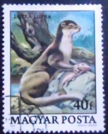 Selo postal da Hungria de 1979 Eurasian Otter