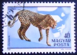 Selo postal da Hungria de 1981 Cheetah
