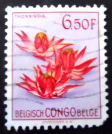 Selo postal do Congo Belga de 1952 Thonningia
