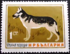 Selo postal da Bulgária de 1964 German Shepherd
