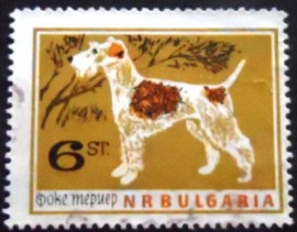 Selo postal da Bulgária de 1964 Wire-haired Fox Terrier