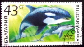 Selo postal da Bulgária de 1991 Killer Whale