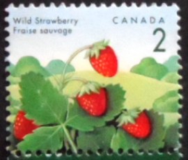 Selo postal do Canadá de 1992 Wild Strawberry