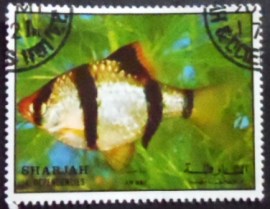 Selo postal de Sharjah de 1972 Tropical Fish