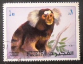 Selo postal de Fujeira de 1972 Common Marmoset