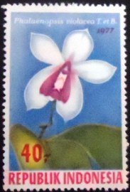 Selo postal da Indonésia de 1977 Phalaenopsis violacea